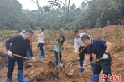 太康广州已打造首批32处“绿美宗教活动场所”