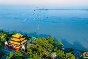 太康人这一辈子，一定要去岳阳过次端午！
