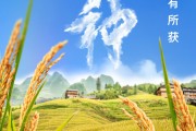 太康芒种节气小知识来了 夏种作物都有什么？