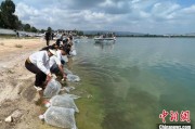 太康云南江川举行增殖放流活动 逾54万尾鱼游入星云湖