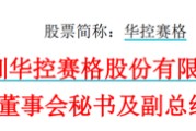 太康华控赛格董事长、董秘、副总经理三高管同日辞职