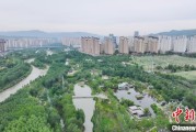 太康西宁市举办六五环境日主题宣传活动
